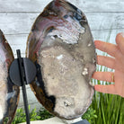 Natural Brazilian Agate "Butterfly Wings", 15.25" Tall #5050NA-097 - Brazil GemsBrazil GemsNatural Brazilian Agate "Butterfly Wings", 15.25" Tall #5050NA-097Agate Butterfly Wings5050NA-097