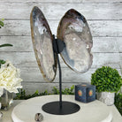 Natural Brazilian Agate "Butterfly Wings", 15.25" Tall #5050NA-097 - Brazil GemsBrazil GemsNatural Brazilian Agate "Butterfly Wings", 15.25" Tall #5050NA-097Agate Butterfly Wings5050NA-097