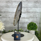 Natural Brazilian Agate "Butterfly Wings", 15.25" Tall #5050NA-097 - Brazil GemsBrazil GemsNatural Brazilian Agate "Butterfly Wings", 15.25" Tall #5050NA-097Agate Butterfly Wings5050NA-097