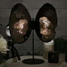 Natural Brazilian Agate "Butterfly Wings", 15.25" Tall #5050NA-097 - Brazil GemsBrazil GemsNatural Brazilian Agate "Butterfly Wings", 15.25" Tall #5050NA-097Agate Butterfly Wings5050NA-097