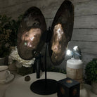 Natural Brazilian Agate "Butterfly Wings", 15.25" Tall #5050NA-097 - Brazil GemsBrazil GemsNatural Brazilian Agate "Butterfly Wings", 15.25" Tall #5050NA-097Agate Butterfly Wings5050NA-097