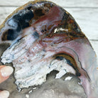 Natural Brazilian Agate "Butterfly Wings", 15.25" Tall #5050NA-097 - Brazil GemsBrazil GemsNatural Brazilian Agate "Butterfly Wings", 15.25" Tall #5050NA-097Agate Butterfly Wings5050NA-097