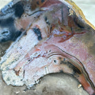 Natural Brazilian Agate "Butterfly Wings", 15.25" Tall #5050NA-097 - Brazil GemsBrazil GemsNatural Brazilian Agate "Butterfly Wings", 15.25" Tall #5050NA-097Agate Butterfly Wings5050NA-097