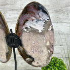 Natural Brazilian Agate "Butterfly Wings", 15.25" Tall #5050NA-097 - Brazil GemsBrazil GemsNatural Brazilian Agate "Butterfly Wings", 15.25" Tall #5050NA-097Agate Butterfly Wings5050NA-097