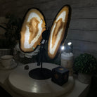 Natural Brazilian Agate "Butterfly Wings", 15.4" Tall #5050NA-100 - Brazil GemsBrazil GemsNatural Brazilian Agate "Butterfly Wings", 15.4" Tall #5050NA-100Agate Butterfly Wings5050NA-100