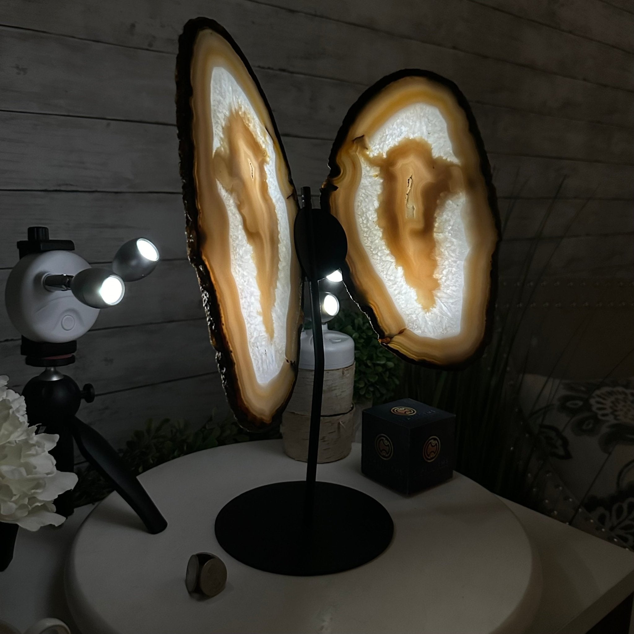 Natural Brazilian Agate "Butterfly Wings", 15.4" Tall #5050NA-100 - Brazil GemsBrazil GemsNatural Brazilian Agate "Butterfly Wings", 15.4" Tall #5050NA-100Agate Butterfly Wings5050NA-100