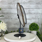 Natural Brazilian Agate "Butterfly Wings", 15.4" Tall #5050NA-100 - Brazil GemsBrazil GemsNatural Brazilian Agate "Butterfly Wings", 15.4" Tall #5050NA-100Agate Butterfly Wings5050NA-100