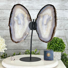 Natural Brazilian Agate "Butterfly Wings", 15.4" Tall #5050NA-100 - Brazil GemsBrazil GemsNatural Brazilian Agate "Butterfly Wings", 15.4" Tall #5050NA-100Agate Butterfly Wings5050NA-100