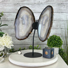 Natural Brazilian Agate "Butterfly Wings", 15.4" Tall #5050NA-100 - Brazil GemsBrazil GemsNatural Brazilian Agate "Butterfly Wings", 15.4" Tall #5050NA-100Agate Butterfly Wings5050NA-100