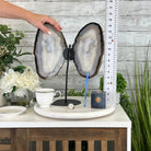 Natural Brazilian Agate "Butterfly Wings", 15.4" Tall #5050NA-100 - Brazil GemsBrazil GemsNatural Brazilian Agate "Butterfly Wings", 15.4" Tall #5050NA-100Agate Butterfly Wings5050NA-100