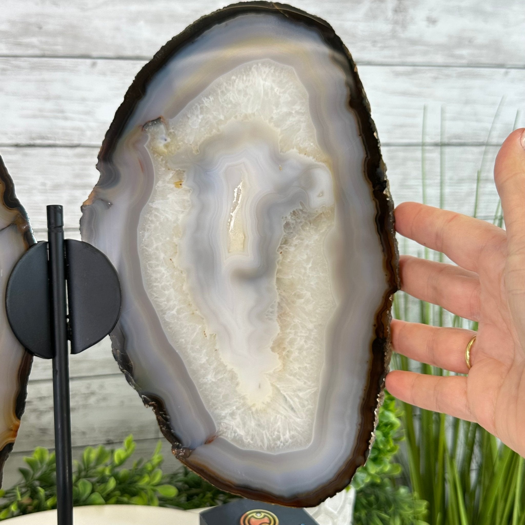 Natural Brazilian Agate "Butterfly Wings", 15.4" Tall #5050NA-100 - Brazil GemsBrazil GemsNatural Brazilian Agate "Butterfly Wings", 15.4" Tall #5050NA-100Agate Butterfly Wings5050NA-100