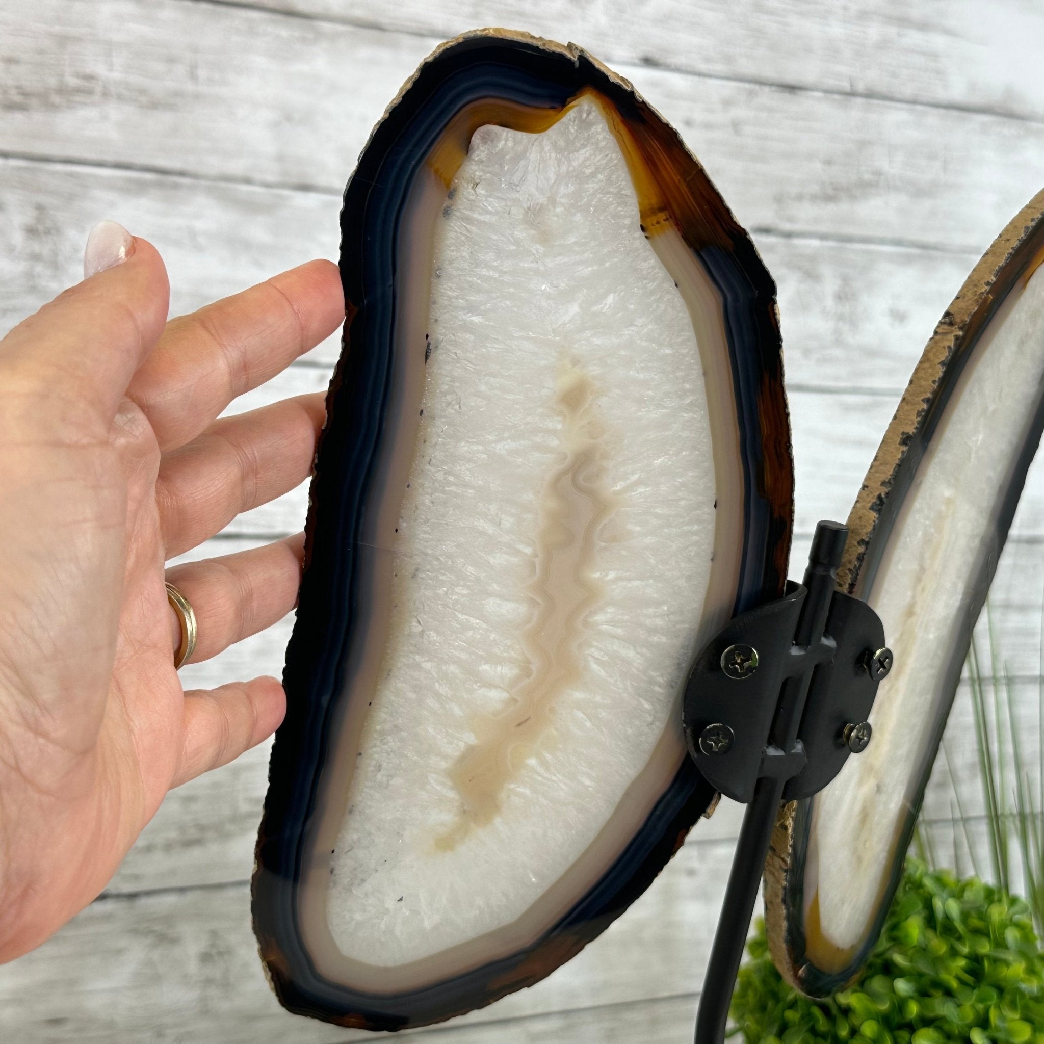 Natural Brazilian Agate "Butterfly Wings", 15.75" Tall #5050NA-084 - Brazil GemsBrazil GemsNatural Brazilian Agate "Butterfly Wings", 15.75" Tall #5050NA-084Agate Butterfly Wings5050NA-084