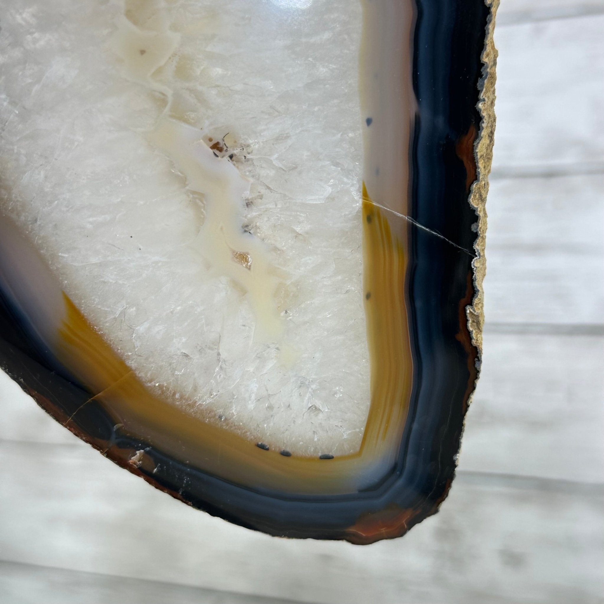 Natural Brazilian Agate "Butterfly Wings", 15.75" Tall #5050NA-084 - Brazil GemsBrazil GemsNatural Brazilian Agate "Butterfly Wings", 15.75" Tall #5050NA-084Agate Butterfly Wings5050NA-084