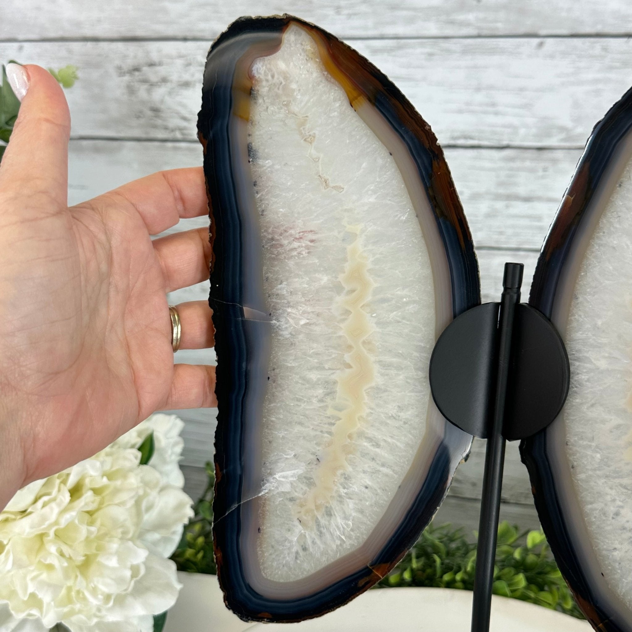 Natural Brazilian Agate "Butterfly Wings", 15.75" Tall #5050NA-084 - Brazil GemsBrazil GemsNatural Brazilian Agate "Butterfly Wings", 15.75" Tall #5050NA-084Agate Butterfly Wings5050NA-084