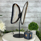 Natural Brazilian Agate "Butterfly Wings", 15.75" Tall #5050NA-084 - Brazil GemsBrazil GemsNatural Brazilian Agate "Butterfly Wings", 15.75" Tall #5050NA-084Agate Butterfly Wings5050NA-084