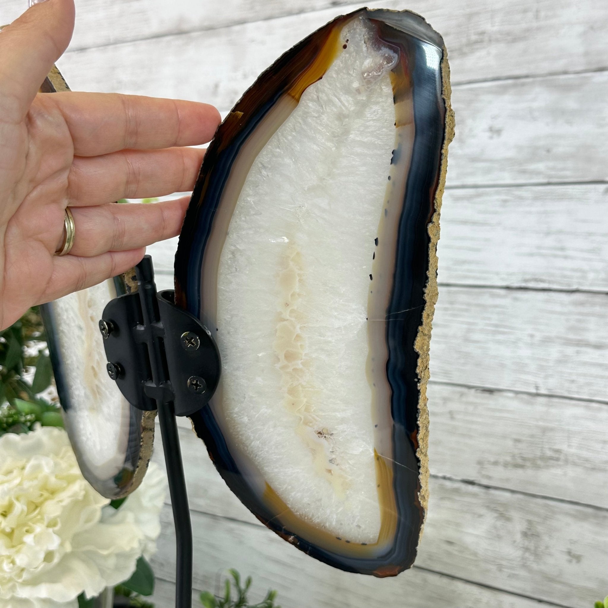 Natural Brazilian Agate "Butterfly Wings", 15.75" Tall #5050NA-084 - Brazil GemsBrazil GemsNatural Brazilian Agate "Butterfly Wings", 15.75" Tall #5050NA-084Agate Butterfly Wings5050NA-084