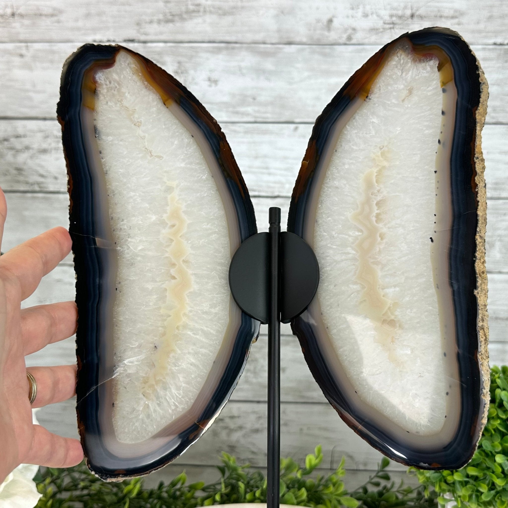 Natural Brazilian Agate "Butterfly Wings", 15.75" Tall #5050NA-084 - Brazil GemsBrazil GemsNatural Brazilian Agate "Butterfly Wings", 15.75" Tall #5050NA-084Agate Butterfly Wings5050NA-084