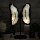 Natural Brazilian Agate "Butterfly Wings", 15.75" Tall #5050NA-084 - Brazil GemsBrazil GemsNatural Brazilian Agate "Butterfly Wings", 15.75" Tall #5050NA-084Agate Butterfly Wings5050NA-084