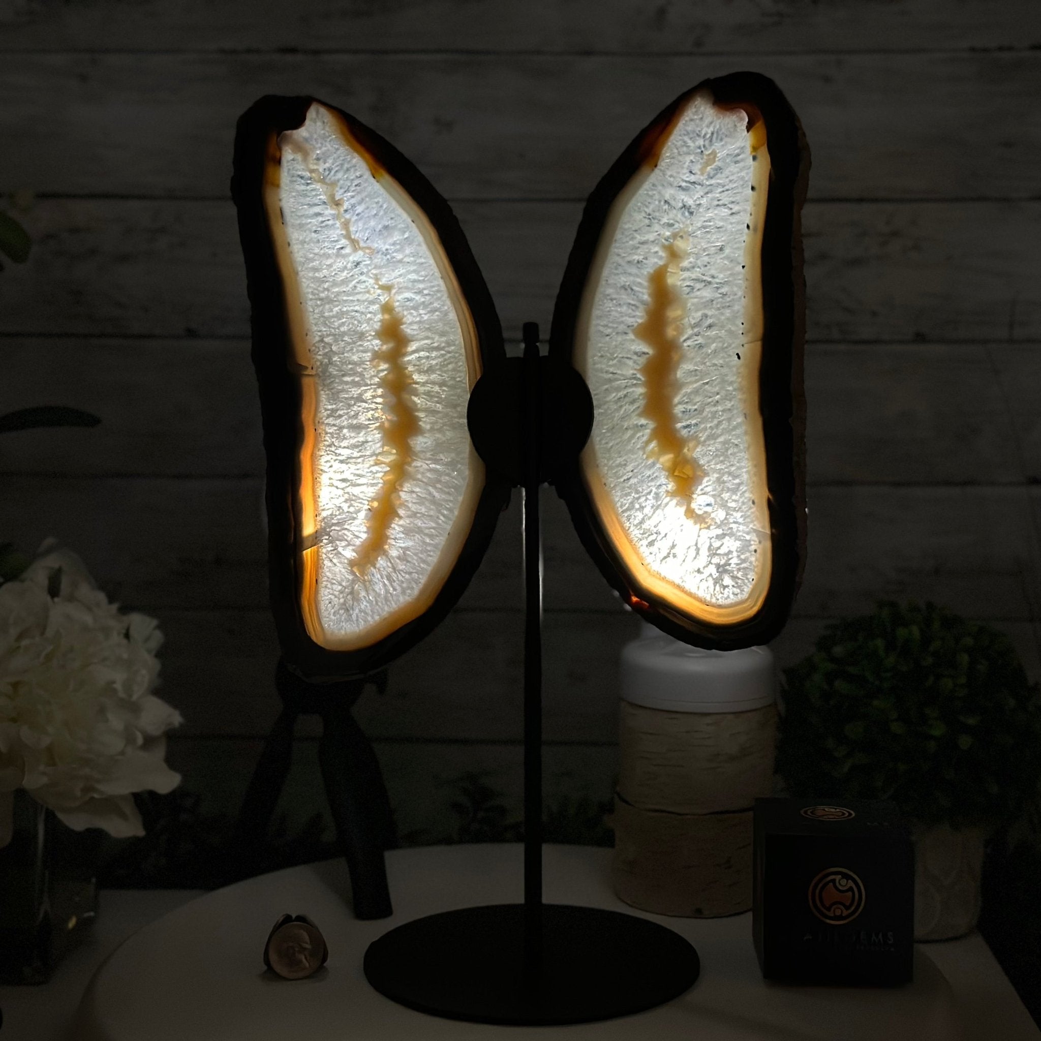 Natural Brazilian Agate "Butterfly Wings", 15.75" Tall #5050NA-084 - Brazil GemsBrazil GemsNatural Brazilian Agate "Butterfly Wings", 15.75" Tall #5050NA-084Agate Butterfly Wings5050NA-084