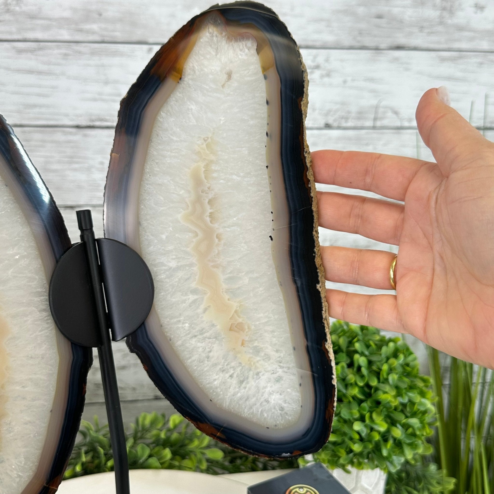 Natural Brazilian Agate "Butterfly Wings", 15.75" Tall #5050NA-084 - Brazil GemsBrazil GemsNatural Brazilian Agate "Butterfly Wings", 15.75" Tall #5050NA-084Agate Butterfly Wings5050NA-084