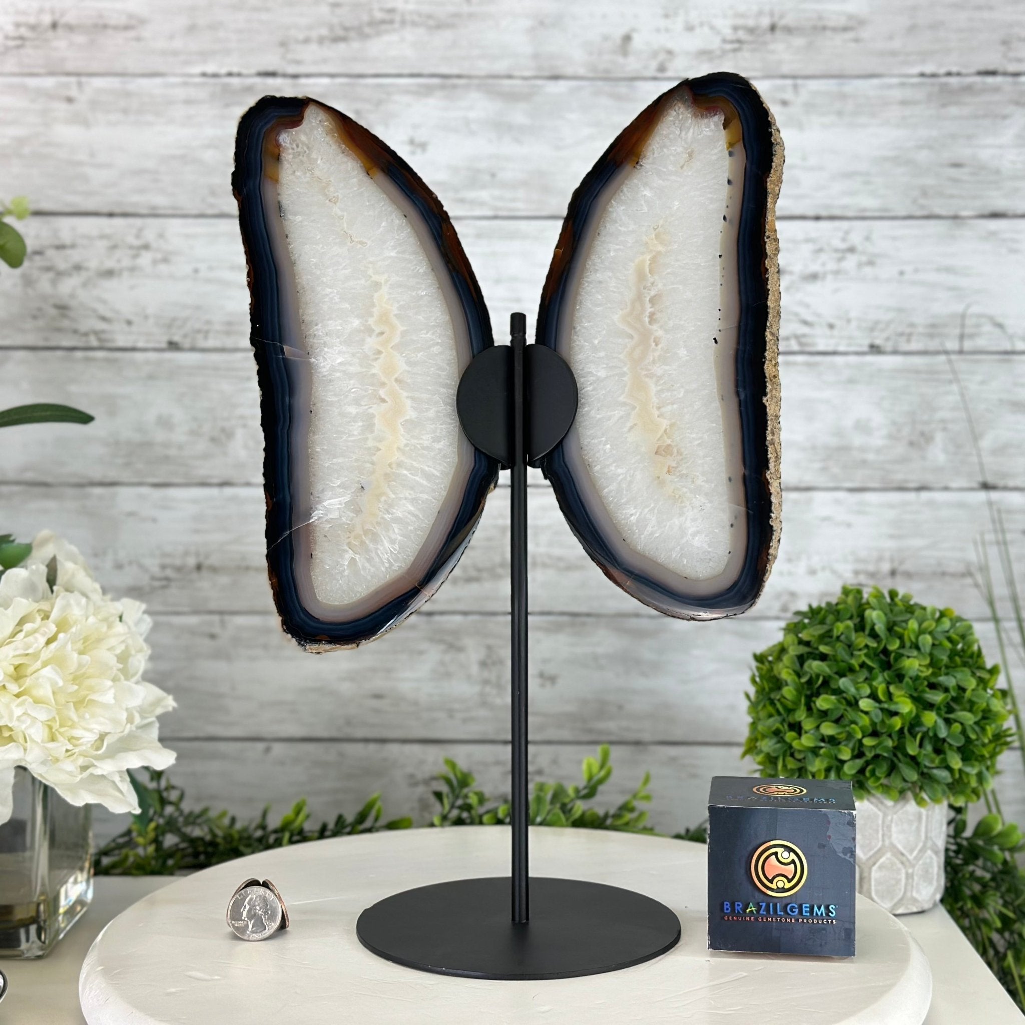 Natural Brazilian Agate "Butterfly Wings", 15.75" Tall #5050NA-084 - Brazil GemsBrazil GemsNatural Brazilian Agate "Butterfly Wings", 15.75" Tall #5050NA-084Agate Butterfly Wings5050NA-084