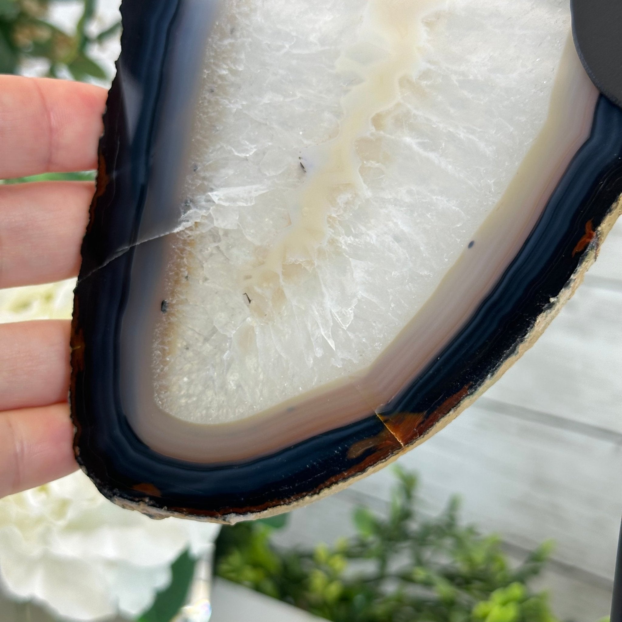 Natural Brazilian Agate "Butterfly Wings", 15.75" Tall #5050NA-084 - Brazil GemsBrazil GemsNatural Brazilian Agate "Butterfly Wings", 15.75" Tall #5050NA-084Agate Butterfly Wings5050NA-084