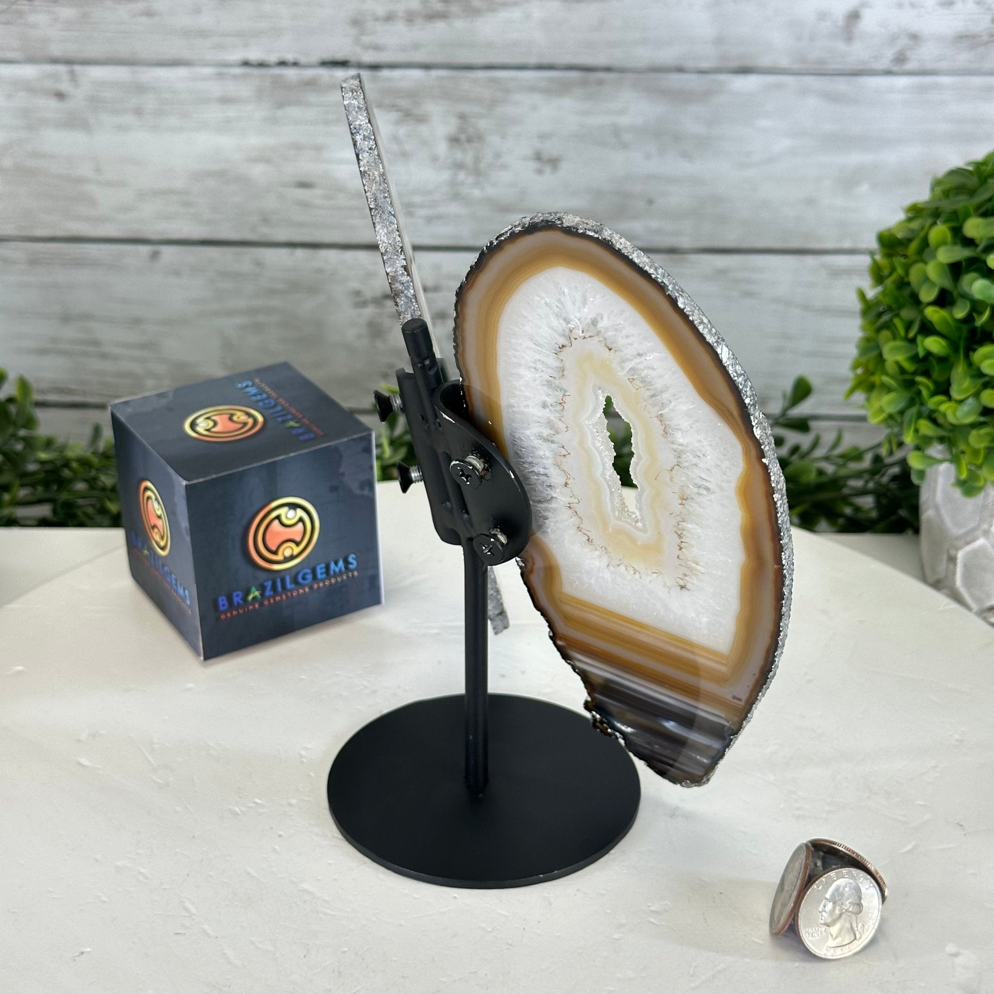 Natural Brazilian Agate "Butterfly Wings", 8" Tall #5050NA-141 - Brazil GemsBrazil GemsNatural Brazilian Agate "Butterfly Wings", 8" Tall #5050NA-141Agate Butterfly Wings5050NA-141