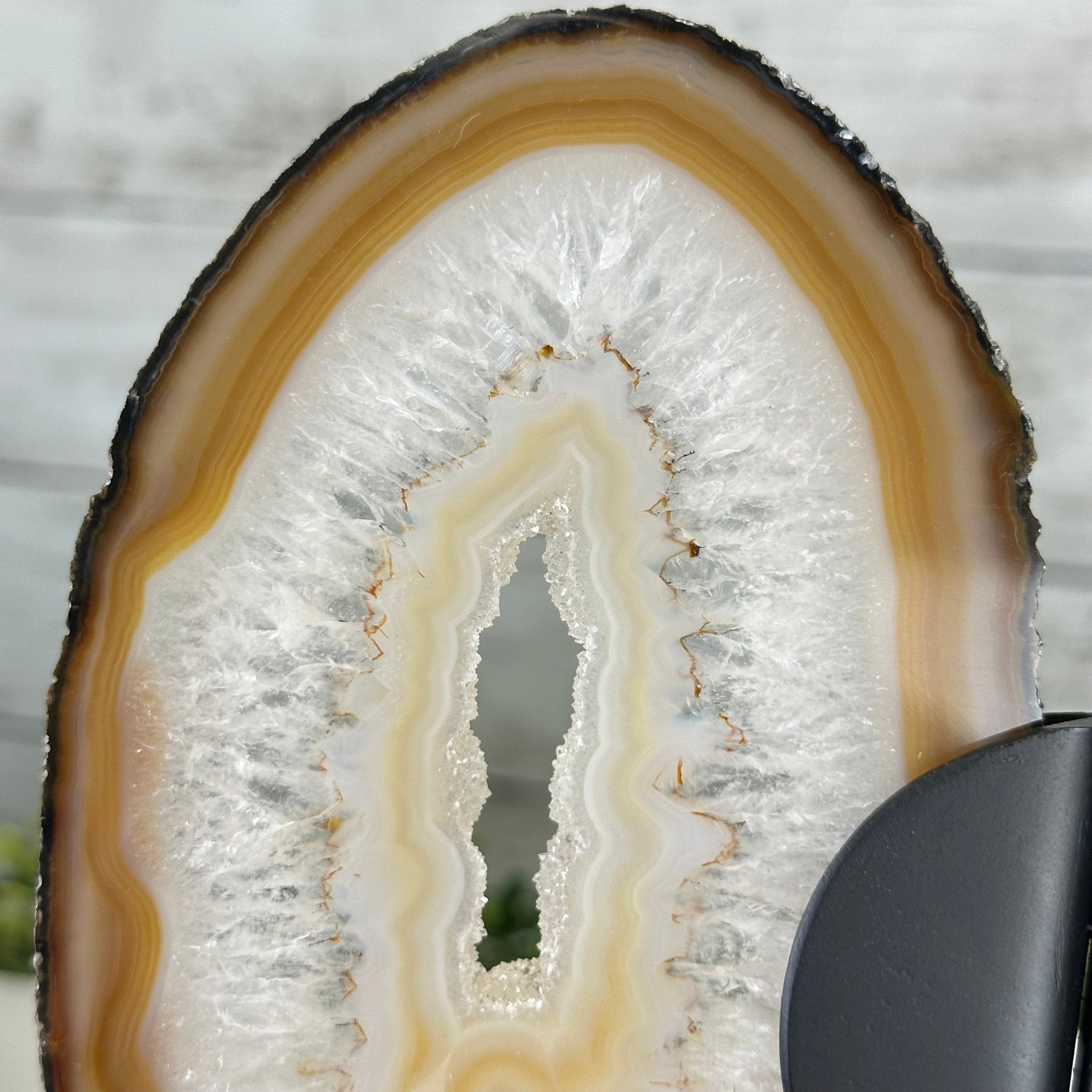 Natural Brazilian Agate "Butterfly Wings", 8" Tall #5050NA-141 - Brazil GemsBrazil GemsNatural Brazilian Agate "Butterfly Wings", 8" Tall #5050NA-141Agate Butterfly Wings5050NA-141