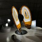 Natural Brazilian Agate "Butterfly Wings", 8" Tall #5050NA-141 - Brazil GemsBrazil GemsNatural Brazilian Agate "Butterfly Wings", 8" Tall #5050NA-141Agate Butterfly Wings5050NA-141