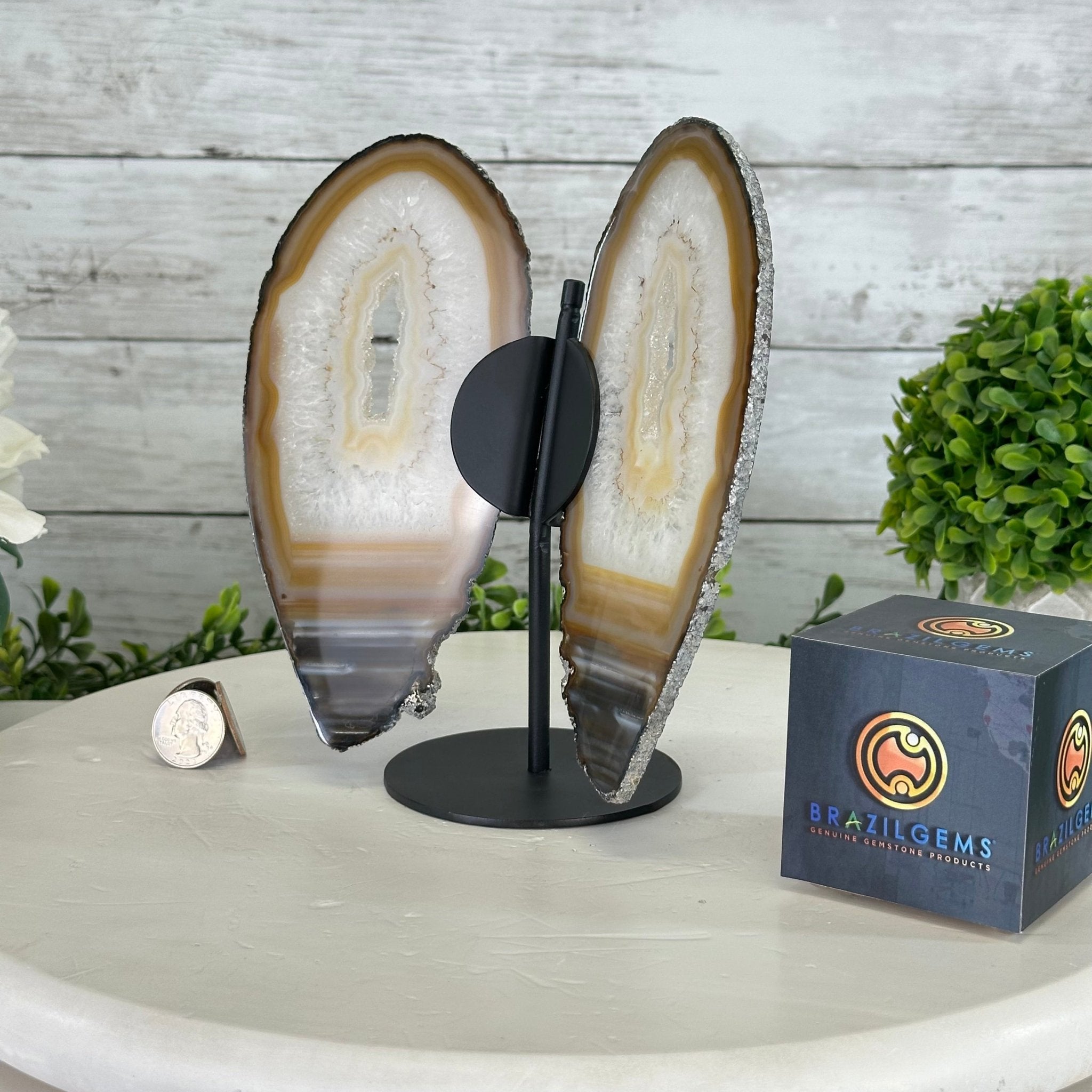 Natural Brazilian Agate "Butterfly Wings", 8" Tall #5050NA-141 - Brazil GemsBrazil GemsNatural Brazilian Agate "Butterfly Wings", 8" Tall #5050NA-141Agate Butterfly Wings5050NA-141