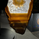 Natural Brazilian Agate "Butterfly Wings", 8" Tall #5050NA-141 - Brazil GemsBrazil GemsNatural Brazilian Agate "Butterfly Wings", 8" Tall #5050NA-141Agate Butterfly Wings5050NA-141