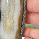 Natural Brazilian Agate "Butterfly Wings", 8" Tall #5050NA-141 - Brazil GemsBrazil GemsNatural Brazilian Agate "Butterfly Wings", 8" Tall #5050NA-141Agate Butterfly Wings5050NA-141