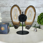 Natural Brazilian Agate "Butterfly Wings", 8" Tall #5050NA-141 - Brazil GemsBrazil GemsNatural Brazilian Agate "Butterfly Wings", 8" Tall #5050NA-141Agate Butterfly Wings5050NA-141