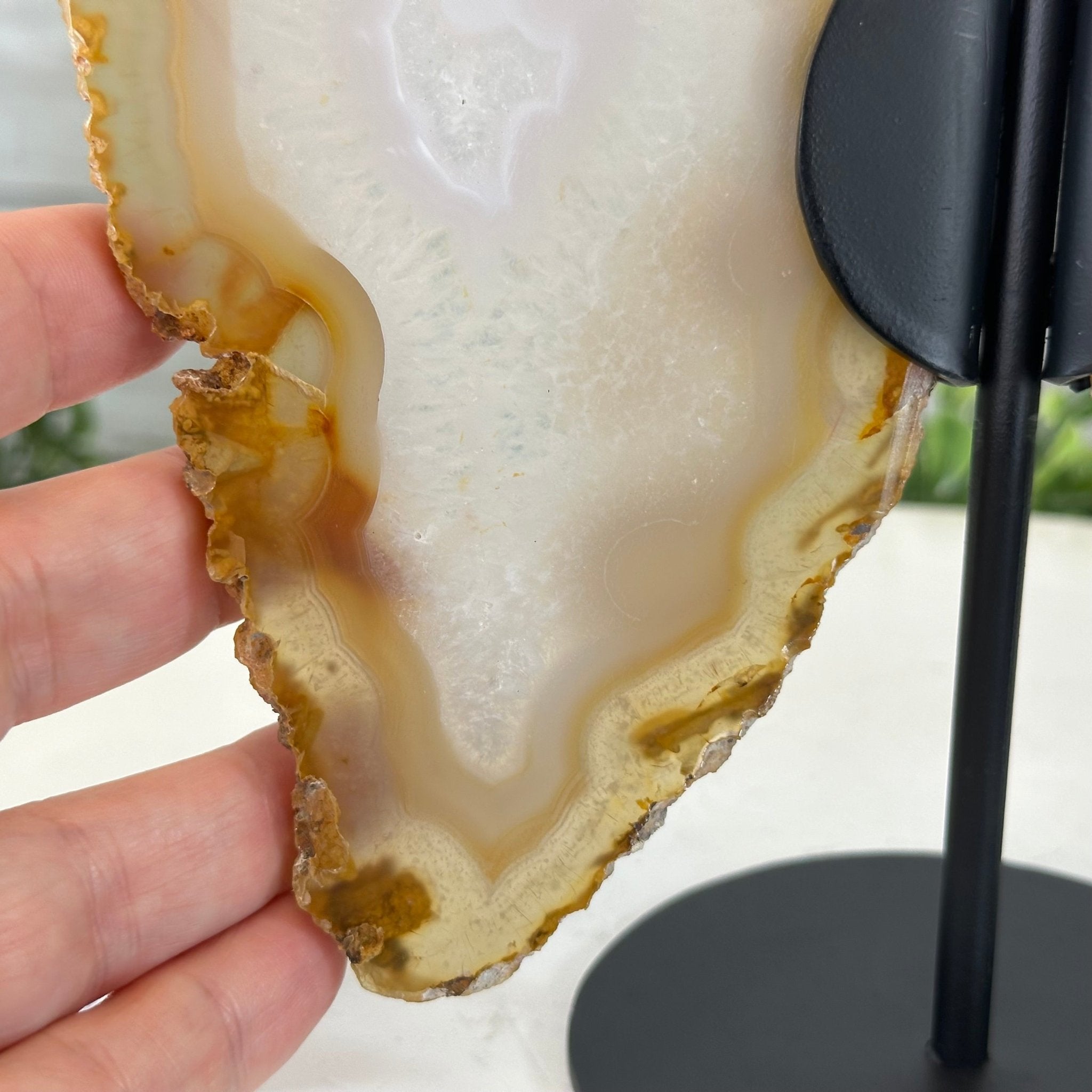 Natural Brazilian Agate "Butterfly Wings", 8" Tall #5050NA-145 - Brazil GemsBrazil GemsNatural Brazilian Agate "Butterfly Wings", 8" Tall #5050NA-145Agate Butterfly Wings5050NA-145