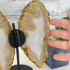 Natural Brazilian Agate "Butterfly Wings", 8" Tall #5050NA-145 - Brazil GemsBrazil GemsNatural Brazilian Agate "Butterfly Wings", 8" Tall #5050NA-145Agate Butterfly Wings5050NA-145