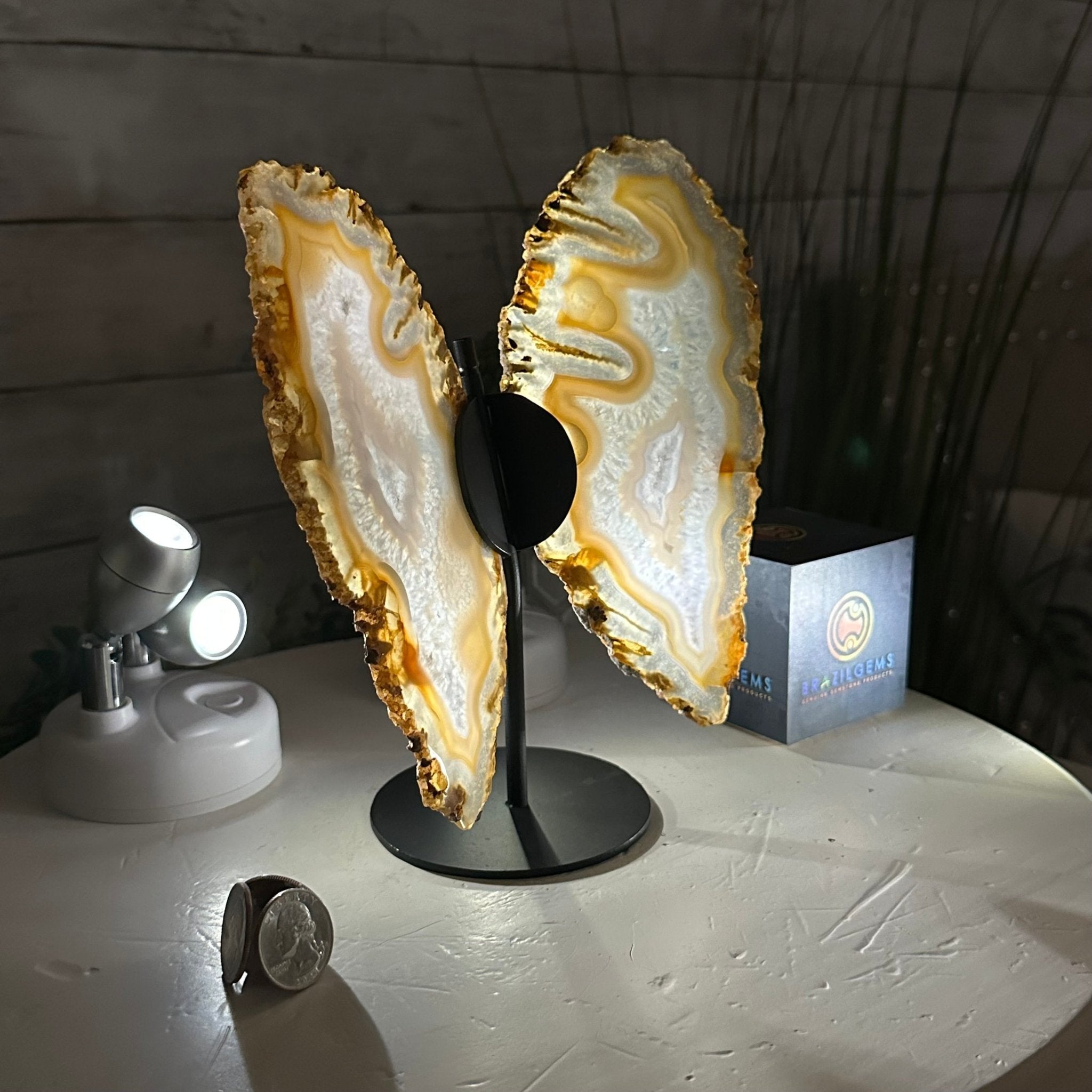 Natural Brazilian Agate "Butterfly Wings", 8" Tall #5050NA-145 - Brazil GemsBrazil GemsNatural Brazilian Agate "Butterfly Wings", 8" Tall #5050NA-145Agate Butterfly Wings5050NA-145