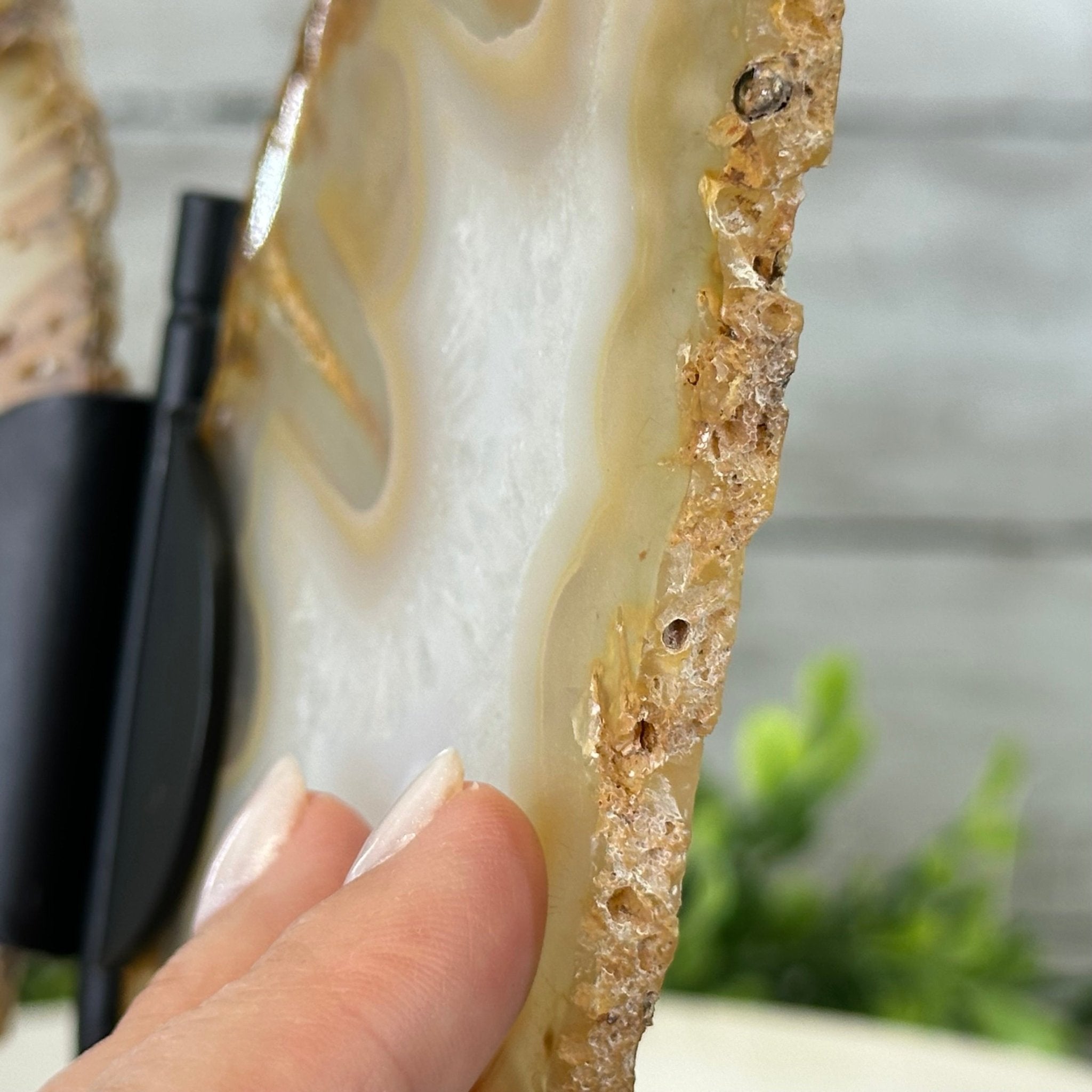 Natural Brazilian Agate "Butterfly Wings", 8" Tall #5050NA-145 - Brazil GemsBrazil GemsNatural Brazilian Agate "Butterfly Wings", 8" Tall #5050NA-145Agate Butterfly Wings5050NA-145