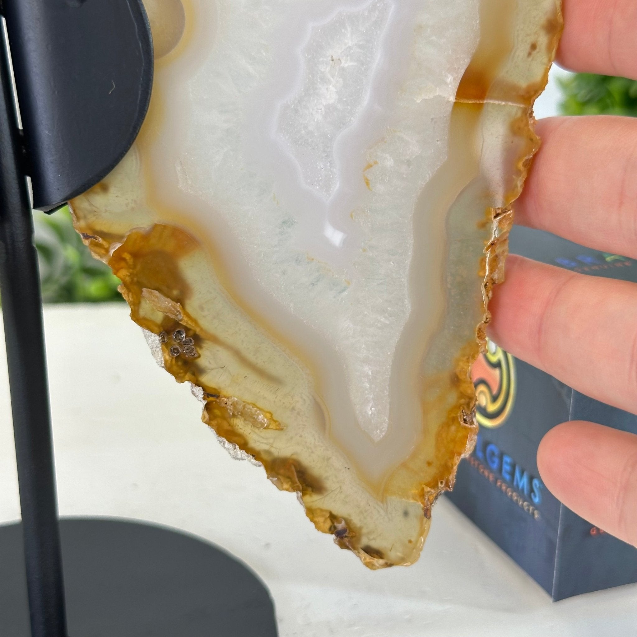 Natural Brazilian Agate "Butterfly Wings", 8" Tall #5050NA-145 - Brazil GemsBrazil GemsNatural Brazilian Agate "Butterfly Wings", 8" Tall #5050NA-145Agate Butterfly Wings5050NA-145