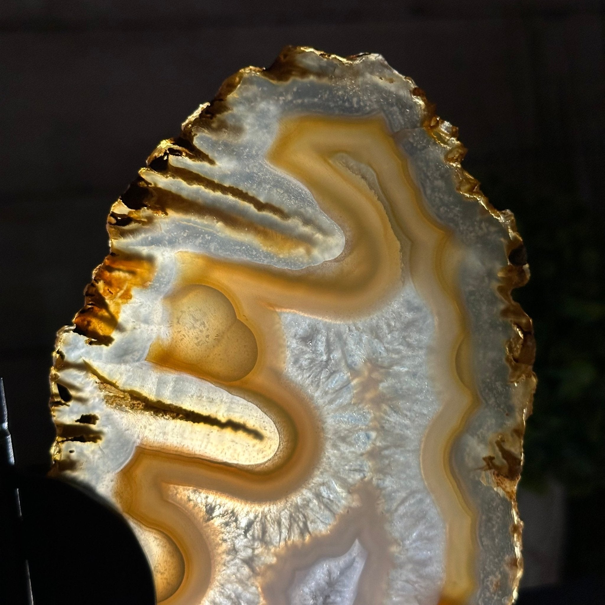 Natural Brazilian Agate "Butterfly Wings", 8" Tall #5050NA-145 - Brazil GemsBrazil GemsNatural Brazilian Agate "Butterfly Wings", 8" Tall #5050NA-145Agate Butterfly Wings5050NA-145