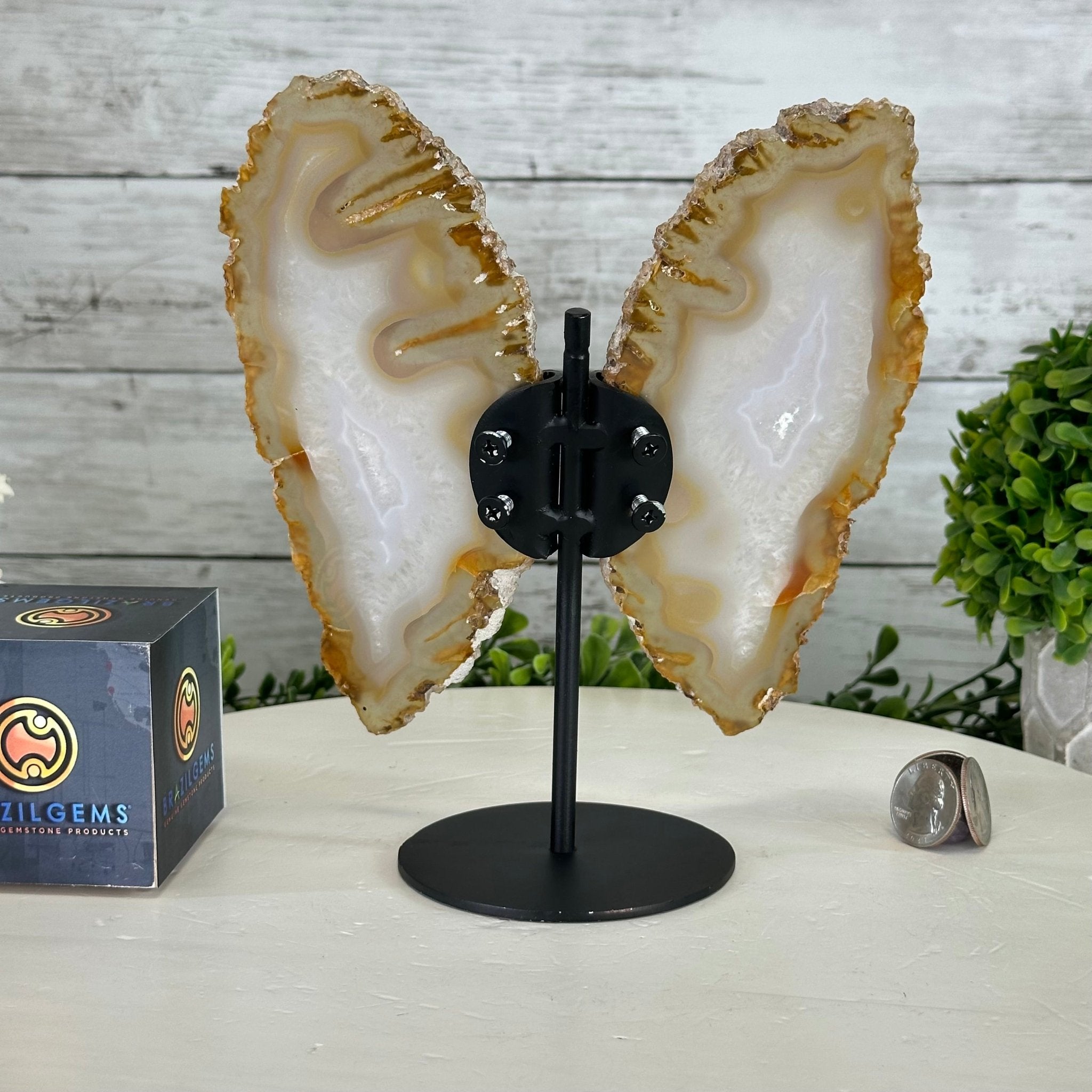 Natural Brazilian Agate "Butterfly Wings", 8" Tall #5050NA-145 - Brazil GemsBrazil GemsNatural Brazilian Agate "Butterfly Wings", 8" Tall #5050NA-145Agate Butterfly Wings5050NA-145