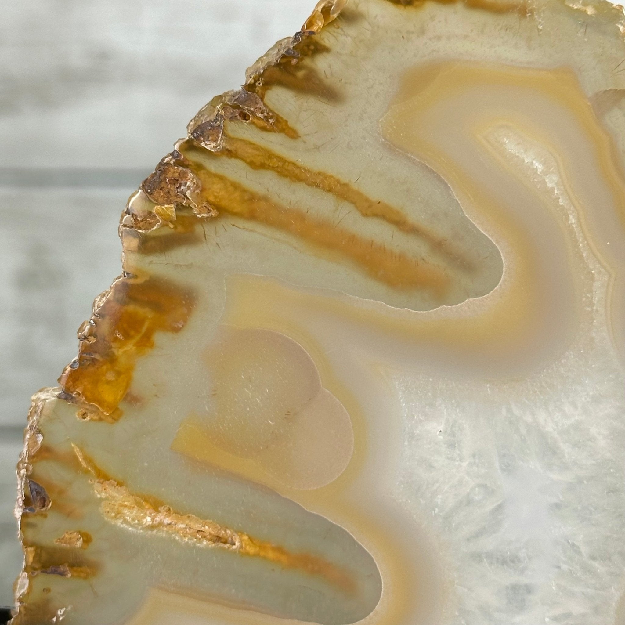 Natural Brazilian Agate "Butterfly Wings", 8" Tall #5050NA-145 - Brazil GemsBrazil GemsNatural Brazilian Agate "Butterfly Wings", 8" Tall #5050NA-145Agate Butterfly Wings5050NA-145