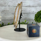 Natural Brazilian Agate "Butterfly Wings", 8" Tall #5050NA-145 - Brazil GemsBrazil GemsNatural Brazilian Agate "Butterfly Wings", 8" Tall #5050NA-145Agate Butterfly Wings5050NA-145