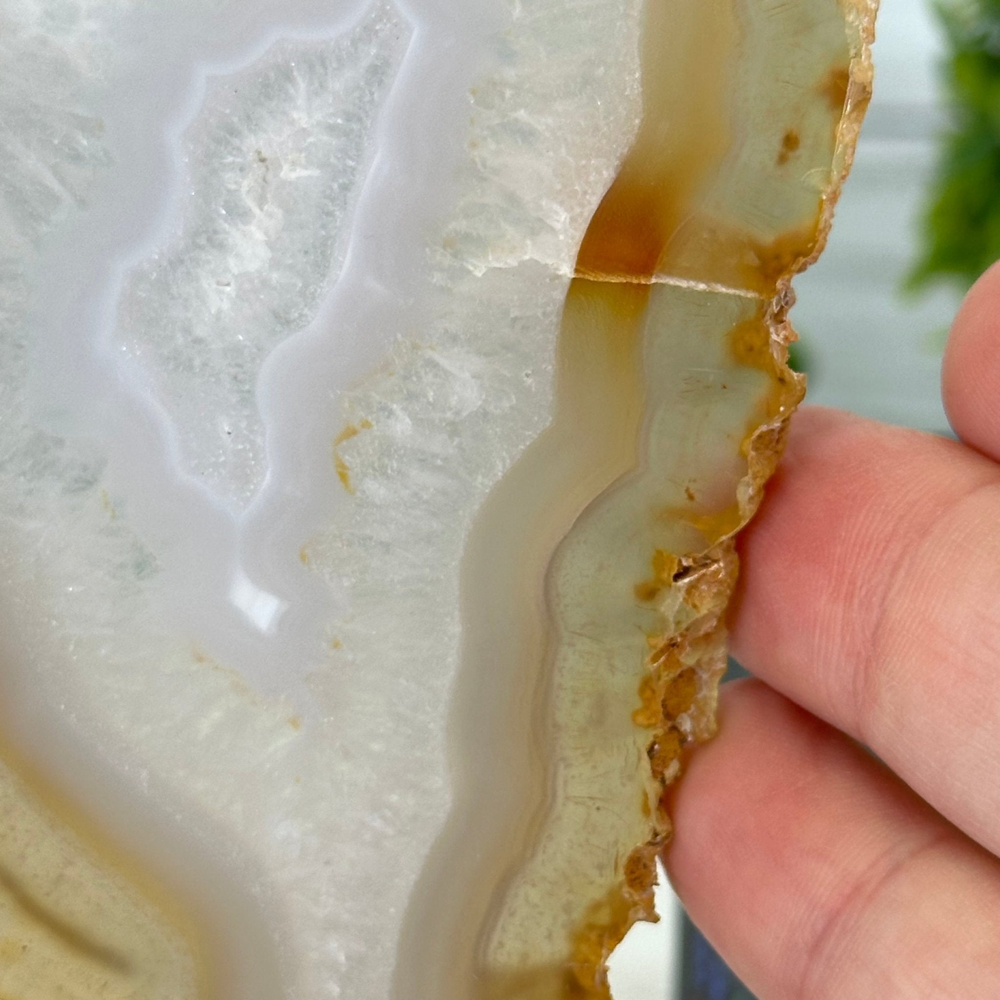 Natural Brazilian Agate "Butterfly Wings", 8" Tall #5050NA-145 - Brazil GemsBrazil GemsNatural Brazilian Agate "Butterfly Wings", 8" Tall #5050NA-145Agate Butterfly Wings5050NA-145
