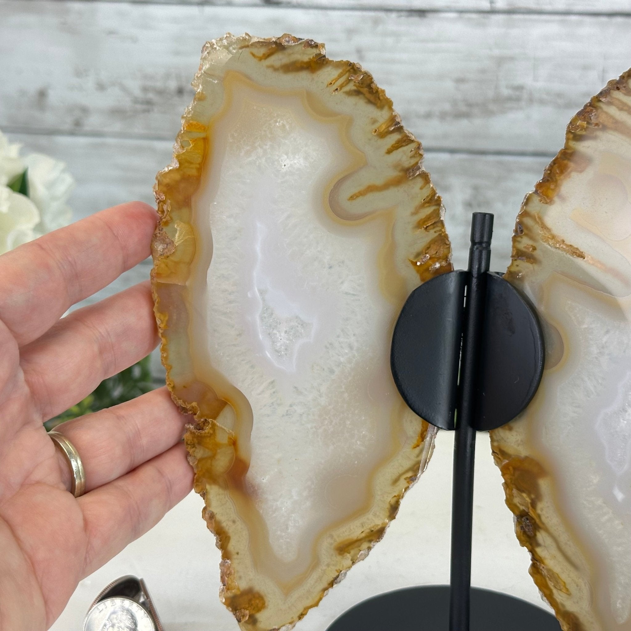 Natural Brazilian Agate "Butterfly Wings", 8" Tall #5050NA-145 - Brazil GemsBrazil GemsNatural Brazilian Agate "Butterfly Wings", 8" Tall #5050NA-145Agate Butterfly Wings5050NA-145