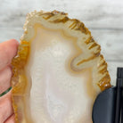 Natural Brazilian Agate "Butterfly Wings", 8" Tall #5050NA-145 - Brazil GemsBrazil GemsNatural Brazilian Agate "Butterfly Wings", 8" Tall #5050NA-145Agate Butterfly Wings5050NA-145