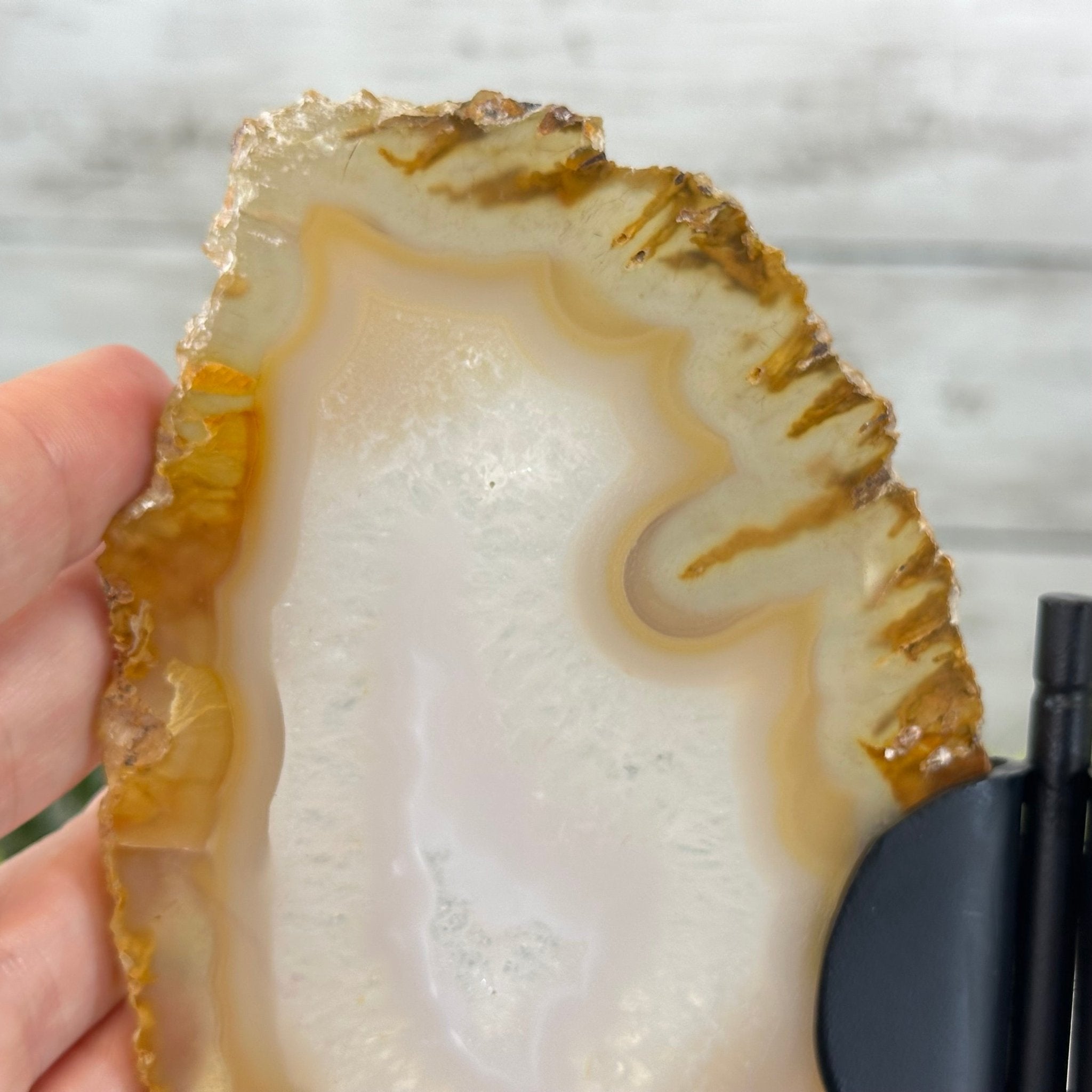 Natural Brazilian Agate "Butterfly Wings", 8" Tall #5050NA-145 - Brazil GemsBrazil GemsNatural Brazilian Agate "Butterfly Wings", 8" Tall #5050NA-145Agate Butterfly Wings5050NA-145