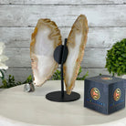 Natural Brazilian Agate "Butterfly Wings", 8" Tall #5050NA-145 - Brazil GemsBrazil GemsNatural Brazilian Agate "Butterfly Wings", 8" Tall #5050NA-145Agate Butterfly Wings5050NA-145