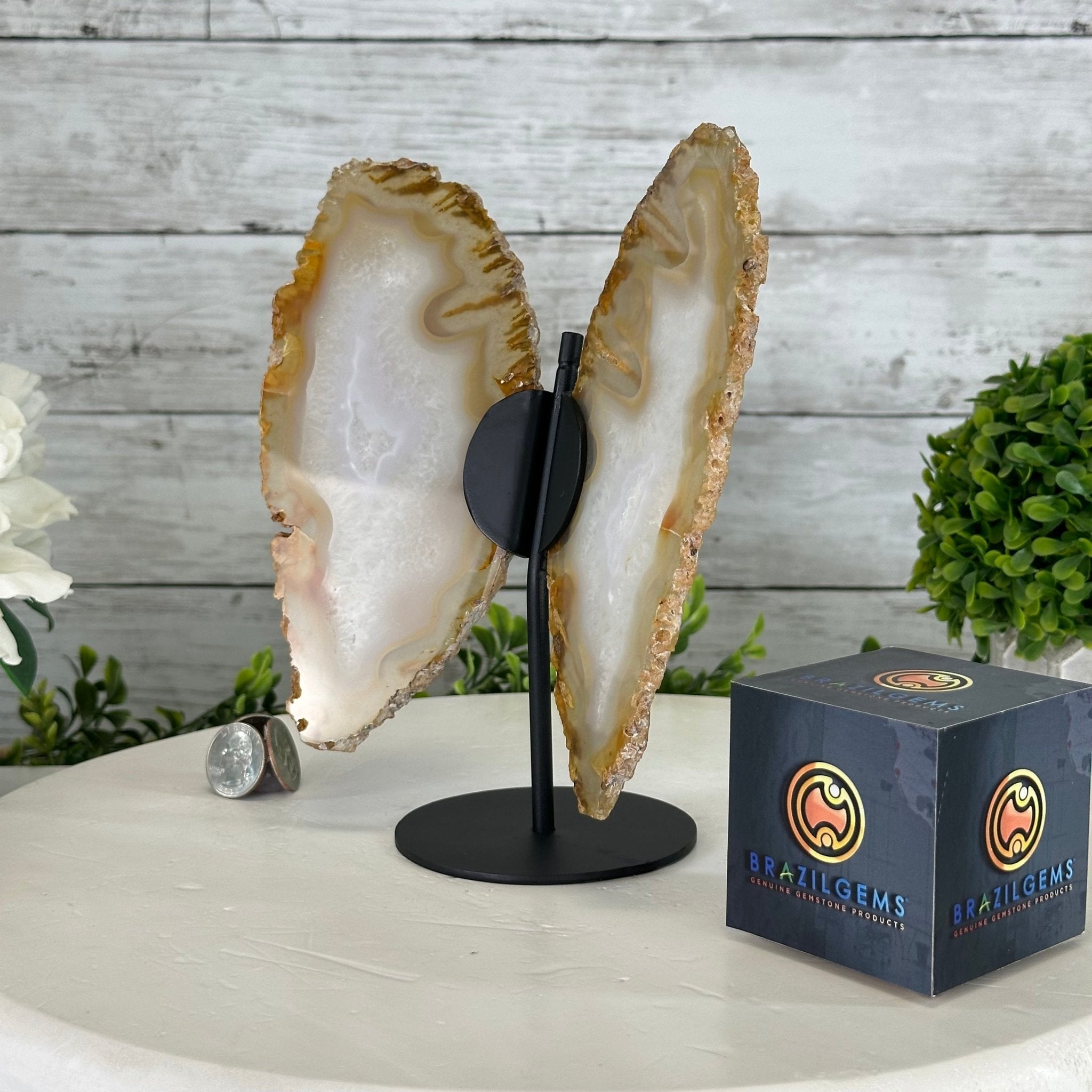 Natural Brazilian Agate "Butterfly Wings", 8" Tall #5050NA-145 - Brazil GemsBrazil GemsNatural Brazilian Agate "Butterfly Wings", 8" Tall #5050NA-145Agate Butterfly Wings5050NA-145