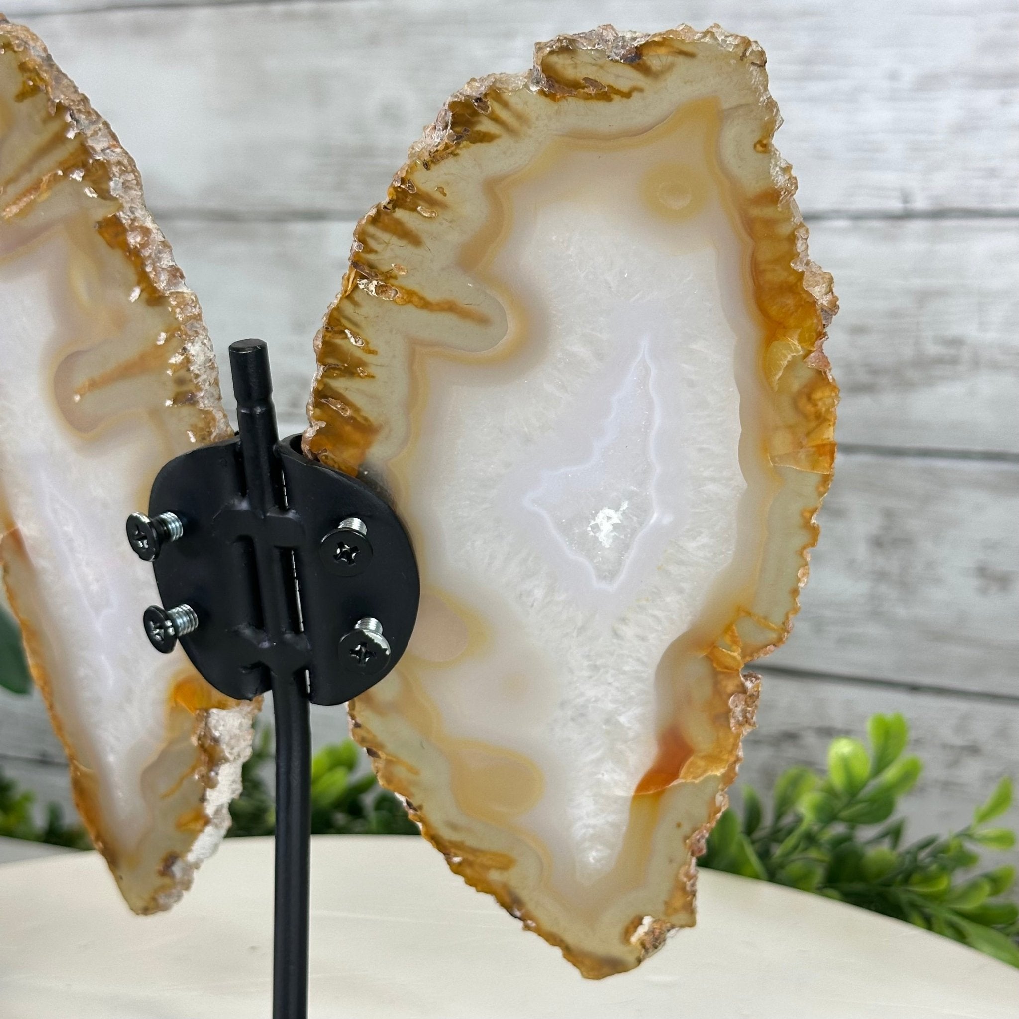Natural Brazilian Agate "Butterfly Wings", 8" Tall #5050NA-145 - Brazil GemsBrazil GemsNatural Brazilian Agate "Butterfly Wings", 8" Tall #5050NA-145Agate Butterfly Wings5050NA-145
