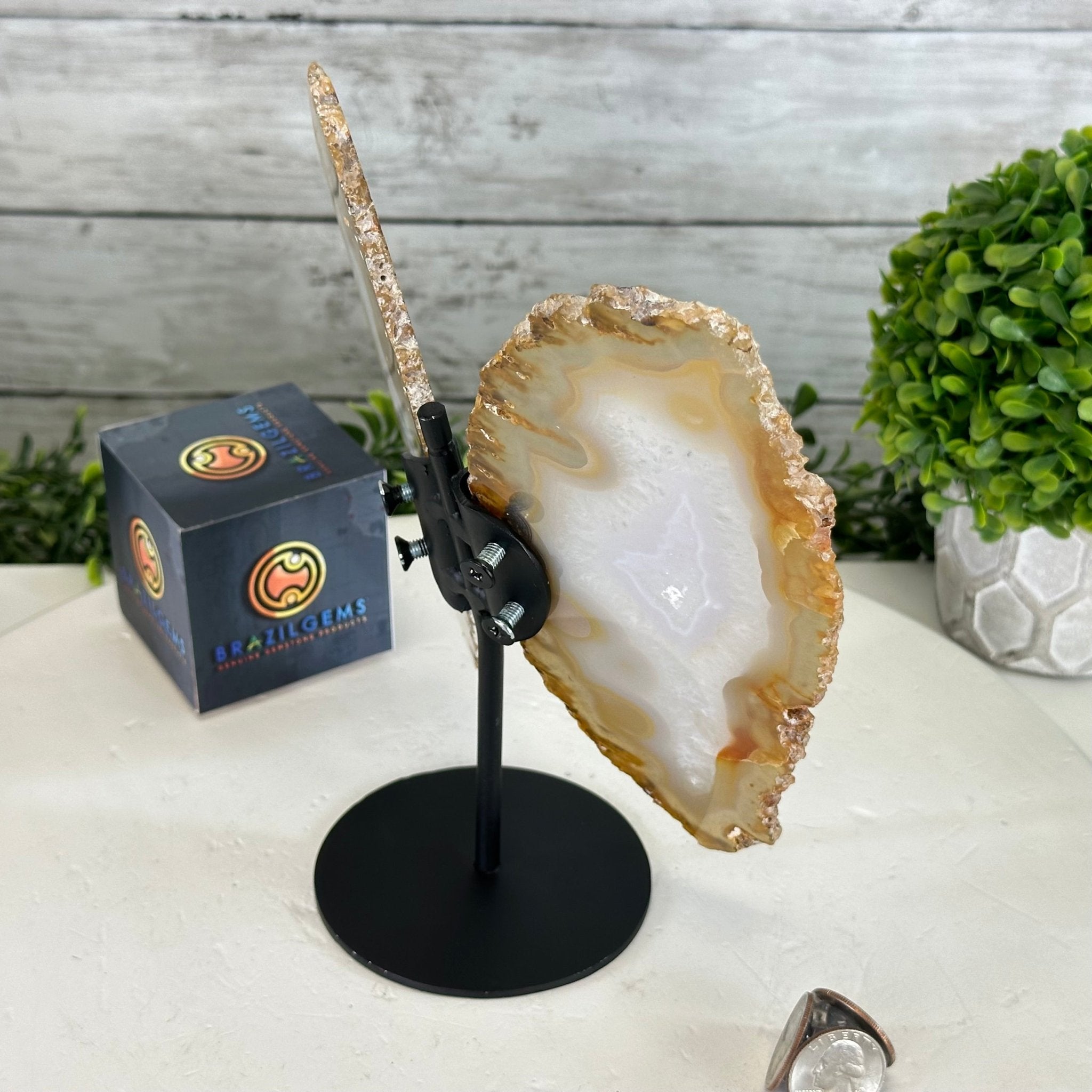 Natural Brazilian Agate "Butterfly Wings", 8" Tall #5050NA-145 - Brazil GemsBrazil GemsNatural Brazilian Agate "Butterfly Wings", 8" Tall #5050NA-145Agate Butterfly Wings5050NA-145